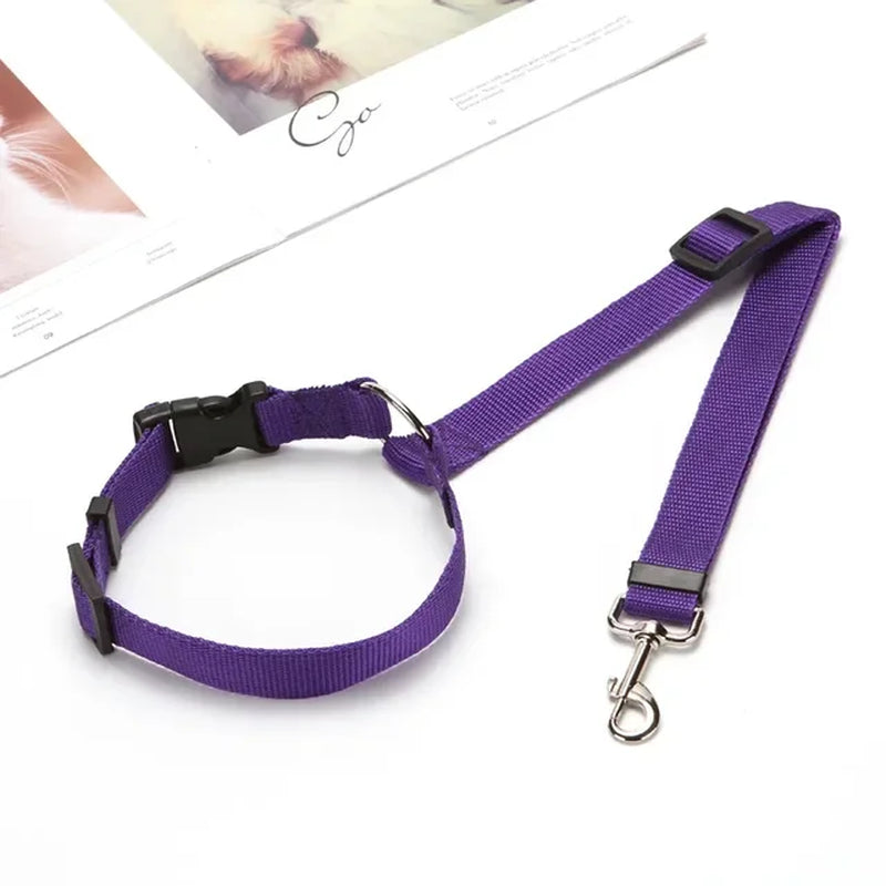 Solid Color Two-In-One Pet Car Seat Belt Nylon Lead Leash Backseat Safety Belt Adjustable Dogs Harness Collar Pet Accessories