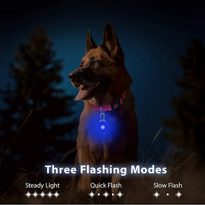 Led Dog Collar Pendant Rechargeable Pet Usb Luminous Collar Pendant Pet Flash Light Leash Accessorie Decoration Dog Necklace