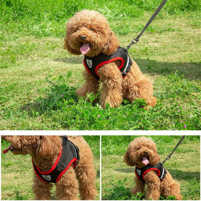 Puppy Dog Harness Leash Rope Set Breathable Summer Mesh Dogs Harness Vest Reflective Pet Cat Chest Straps Chihuahua Yorkies